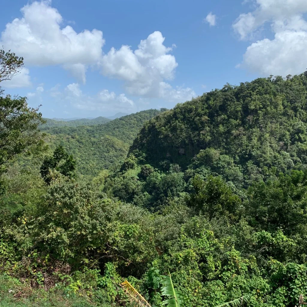 St Lucia and Martinique