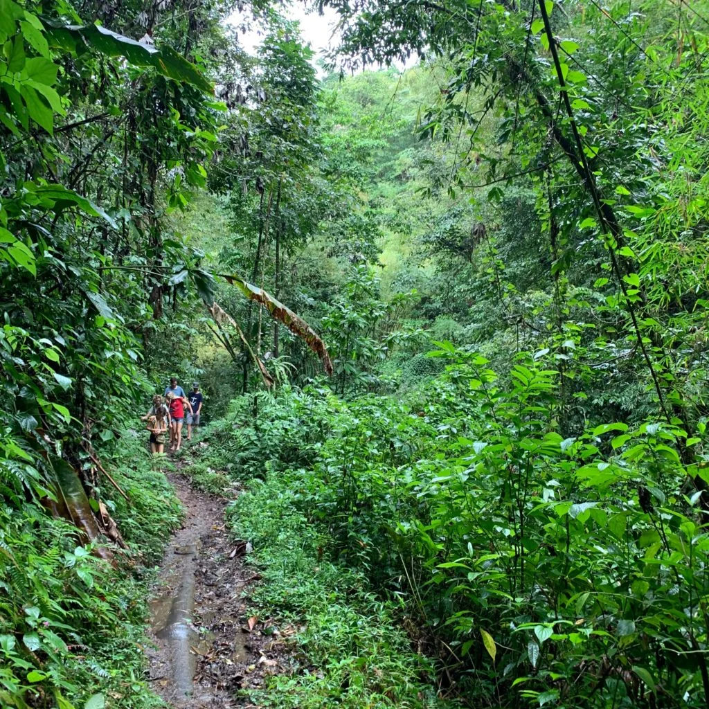 St Lucia and Martinique